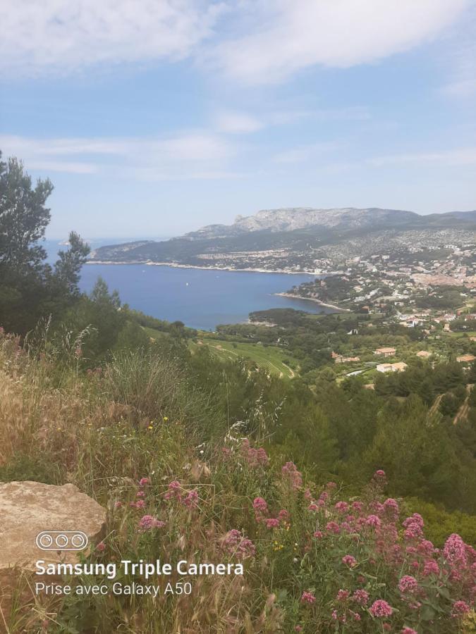 Villa Securisee Pres Des Lecques Saint-Cyr-sur-Mer Eksteriør bilde