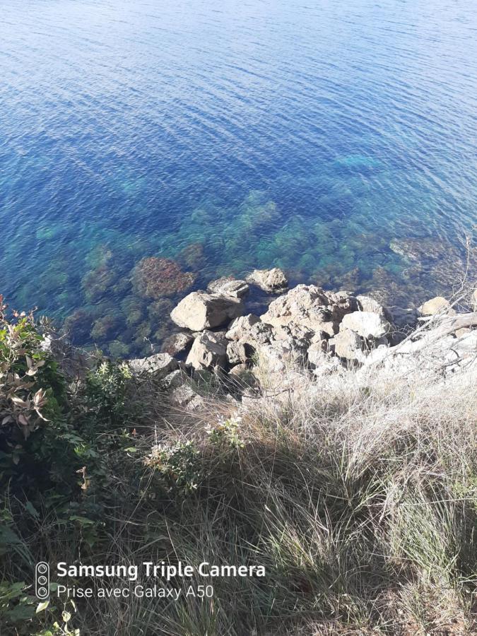 Villa Securisee Pres Des Lecques Saint-Cyr-sur-Mer Eksteriør bilde