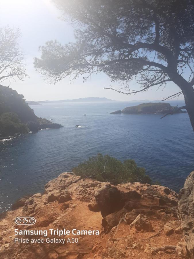 Villa Securisee Pres Des Lecques Saint-Cyr-sur-Mer Eksteriør bilde