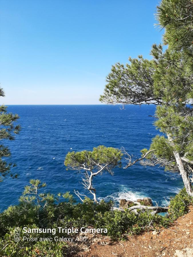 Villa Securisee Pres Des Lecques Saint-Cyr-sur-Mer Eksteriør bilde